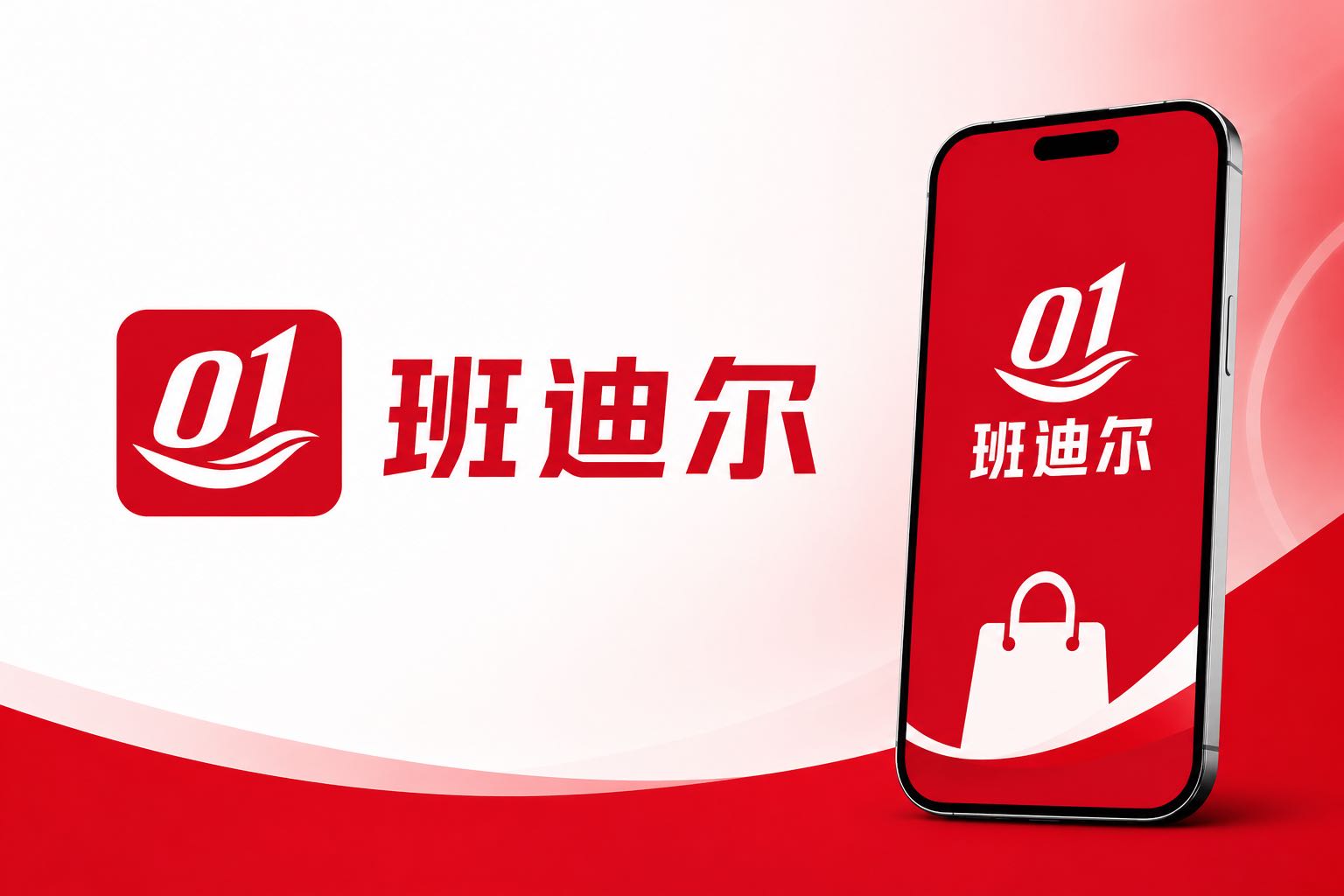 班迪尔软件开发